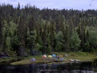 Fly fishing picture