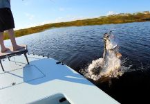 Everglades national park, Florida, United States