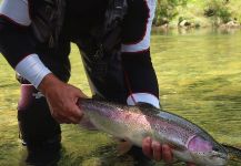  Imagen de Pesca con Mosca de Trucha arcoiris compartida por Flyfishingodec Slovenia | Fly dreamers