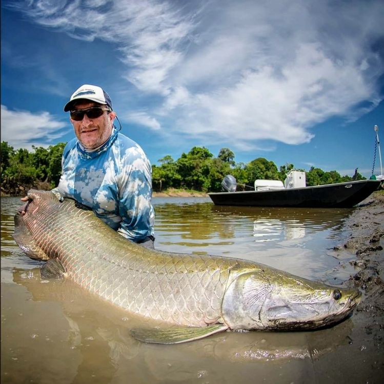 Raúl Horacio FAILLA con un hermoso Arapaima de la Reserva Mamirauá!!!! Untamed Angling
By Rafael Costa