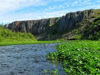 Fly fishing picture