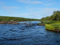 Fly fishing picture