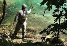  Situación de Pesca con Mosca de Trucha marmorata – Por Flyfishingodec Slovenia en Fly dreamers