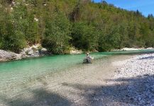  Situación de Pesca con Mosca de Trucha marmorata – Por Flyfishingodec Slovenia en Fly dreamers