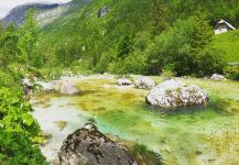  Genial Situación de Pesca con Mosca de Trucha marmorata – Fotografía por Flyfishingodec Slovenia en Fly dreamers