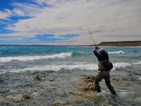 Fly fishing picture