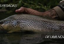 Fly-fishing Picture of Loch Leven trout German shared by Kid Ocelos | Fly dreamers