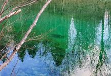 Danube Salmon Fly-fishing Situation – Uros Kristan - URKO Fishing Adventures shared this Impressive Pic in Fly dreamers 