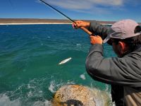 Fly fishing picture