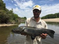 Fly fishing picture