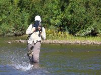 Fly fishing picture