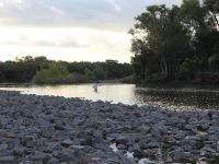 Fly fishing picture