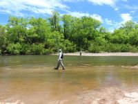 Fly fishing picture