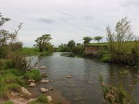 Fly fishing picture