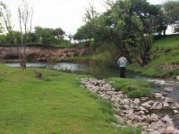 Fly fishing picture