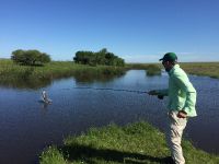 Foto de pesca con mosca