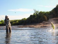 Foto de pesca con mosca