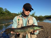 Foto de pesca con mosca