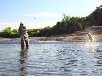 Foto de pesca con mosca