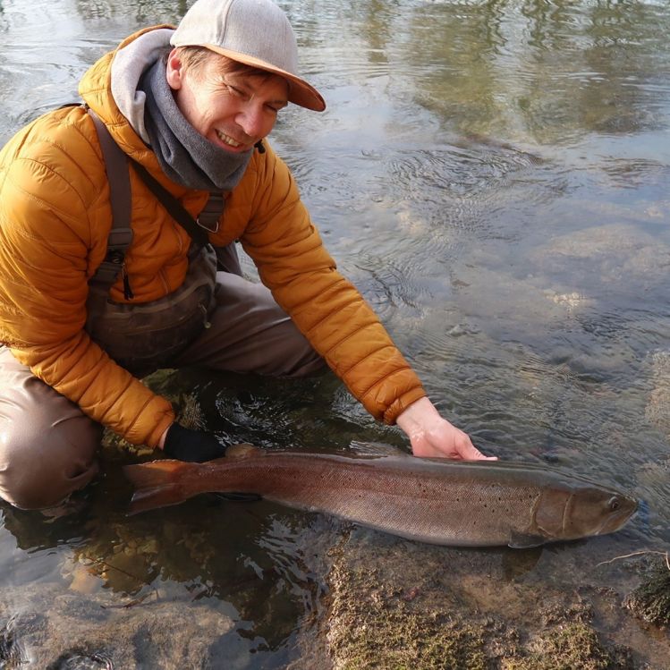 Huchen season ends today..but the new trout season is just around the corner 