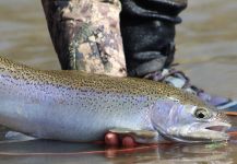 Lake Erie Tributaries, Ohio, United States