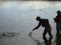 Fly fishing picture