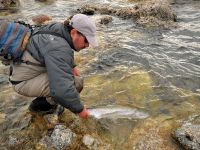 Fly fishing picture