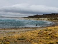 Foto de pesca con mosca