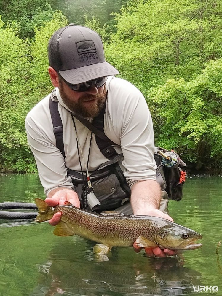 Another fantastic hybrid marble trout on a tiny F-fly 