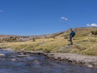 Fly fishing picture