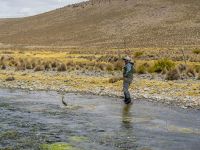 Fly fishing picture