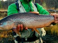 Foto de pesca con mosca