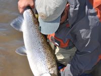 Foto de pesca con mosca