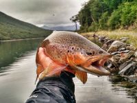 Foto de pesca con mosca