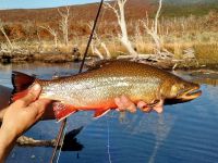 Foto de pesca con mosca