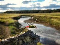 Foto de pesca con mosca