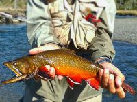 Foto de pesca con mosca