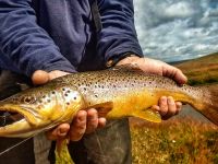 Foto de pesca con mosca