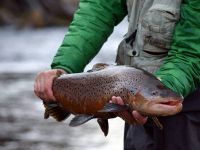 Foto de pesca con mosca