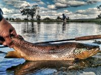 Foto de pesca con mosca