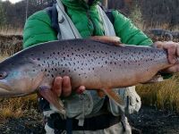 Foto de pesca con mosca