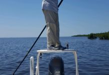 Charlotte Harbor and Pine Island Sound