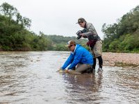 Fly fishing picture