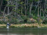 Fly fishing picture