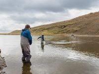 Fly fishing picture