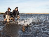 Fly fishing picture