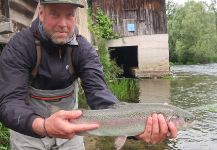  Fotografía de Pesca con Mosca de Trucha arcoiris por Flyfishingodec Slovenia | Fly dreamers 