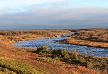  Notes about Atlantic salmon fishing on the rivers of White sea 