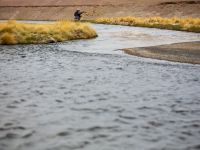 Foto de pesca con mosca