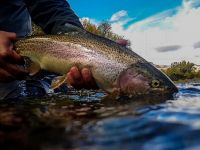 Foto de pesca con mosca